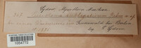Image Associated With the Occurence